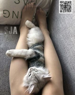 被糙汉肉到失禁H男男_国产剧免费观看超清