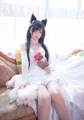果冻视频传媒破_BD英语在线视频播放